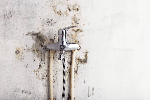 Best Mold Removal and Inspection  in Miramar Beach, FL