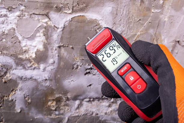 Mold Testing and Removal in Miramar Beach, FL